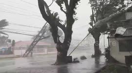 Strong winds bring down utility pole as Typhoon Vamco hits Philippines