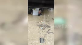 Man swims through 6-foot-deep floodwater to rescue stranded dog as Typhoon Vamco hits Philippines