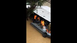 Rescuers save man trapped on tree after climbing onto it to avoid floodwater in Vietnam