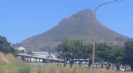 Lions Head