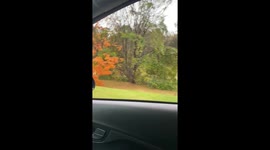 Record flooding along Little Sugar Creek in Charlotte, North Carolina
