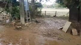 Philippines: Typhoon Vamco Leaves Aftermath Of Downed Trees And Flooding