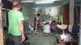 Hero pet cat saves sleeping owner's life by scaring away king cobra