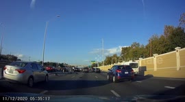 Dog ejected from car in high-speed collision on Texas highway