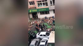 Couriers toss customers' parcels around during sorting process in northern China