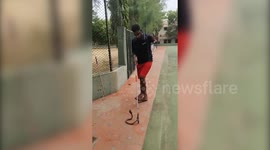 Puducherry in Southern India firefighter rescues Indian Cobra from cops complex