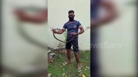 In Southern India man rescues two snakes consecutively from residential locality