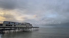 Thousands of starlings murmurate around The Royal Pier in Aberystwyth, West Wales, UK