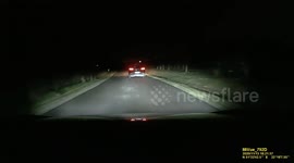 Collision with fox