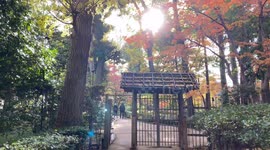 Autumn Beauty Of A Japanese Garden: Otaguro Park, Tokyo Japan