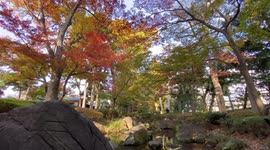 Autumn Beauty Of A Japanese Garden: Otaguro Park, Tokyo Japan