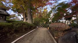 Autumn Beauty Of A Japanese Garden: Otaguro Park, Tokyo Japan