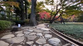 Autumn Beauty Of A Japanese Garden: Otaguro Park, Tokyo Japan