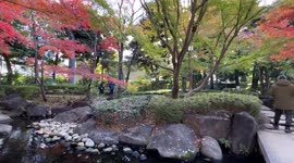Autumn Beauty Of A Japanese Garden: Otaguro Park, Tokyo Japan