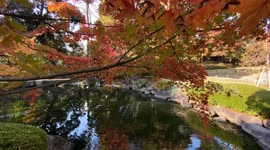Autumn Beauty Of A Japanese Garden: Otaguro Park, Tokyo Japan