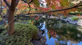Autumn Beauty Of A Japanese Garden: Otaguro Park, Tokyo Japan