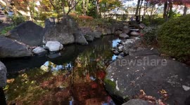 Autumn Beauty Of A Japanese Garden: Otaguro Park, Tokyo Japan