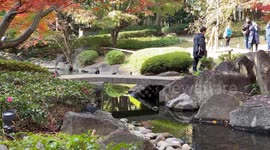Autumn Beauty Of A Japanese Garden: Otaguro Park, Tokyo Japan