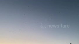 New protest march of the Armenian people in Yerevan