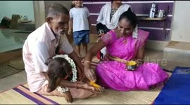 Owner celebrates a baby shower ceremony for his dog in India
