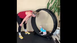 Cat does not want to do a workout with clothes on