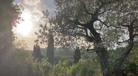 A moment or relax in Tuscany
