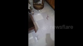 Philippines: M6.1 Earthquake Strikes Mindanao