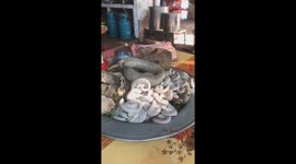 Dish is made from Pig's organs and intestines in Vietnam