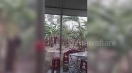 Strong winds and rain from Typhoon Vamco batter central Vietnam