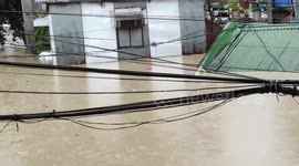 Rat Climbs Along Cables To Avoid Typhoon Vamco Floods In The Philippines
