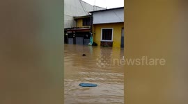 Smart rat SURFS to freedom on piece of wood during Typhoon Vamco floods in the Philippines