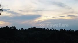 brazilian tropical forest view