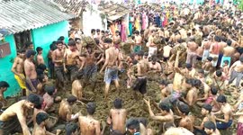 Villagers in India celebrate bizarre festival 'Thaladavi' requiring them to throw cow dung at each other