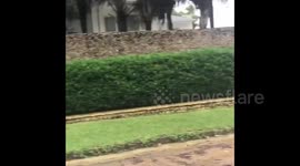 Nicaragua: Hurricane Iota Leaves Trail Of Debris On Streets And Coasts
