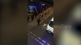 Homeless dog escapes after dodging half a dozen police cars and taser