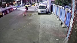 Dog knocked out and stolen by thief who fed it poisoned duck meat in China