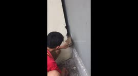 Heroic Vietnamese man uses chisel to break down wall and rescue a trapped cat