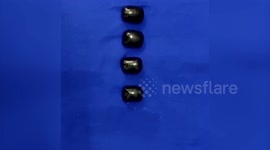 Air Customs officials seize gold worth $29,612 in southern India