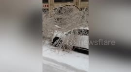 Trees coated in layer of ice as winter storm strikes northern China