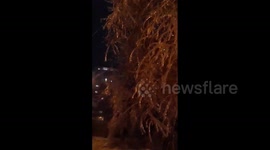 Russia: Winter Storm Brings Freezing Rain To Vladivostok 3