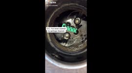 I cleaned my garbage disposal for the first time