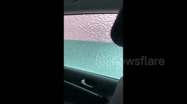 Freezing rain causes ice to form on trees in Russia's Vladivostok