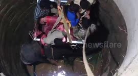 Wild elephant rescued from well after 16 hours of being stuck
