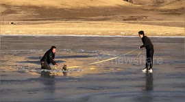 Officials in China venture into middle of frozen lake to rescue stranded wolf