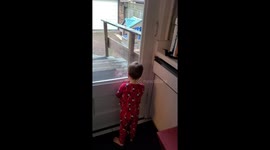 Adorable racoon and toddler meet at the glass, touch hands in Toronto