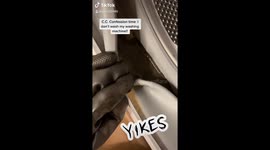 I cleaned my washing machine