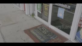 Iguana Tries To Get Into Store