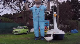 Goose becomes 'best friends' with ex amusement ride swan