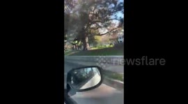 US: Trump Supporters Stage ‘Stop The Steal’ Rallies In Atlanta, Georgia 3