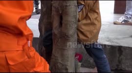 Firemen release boy from tree in China